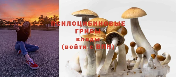 трава Новодвинск