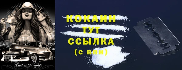 трава Новодвинск