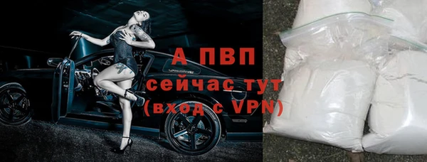 гидропоника Новозыбков